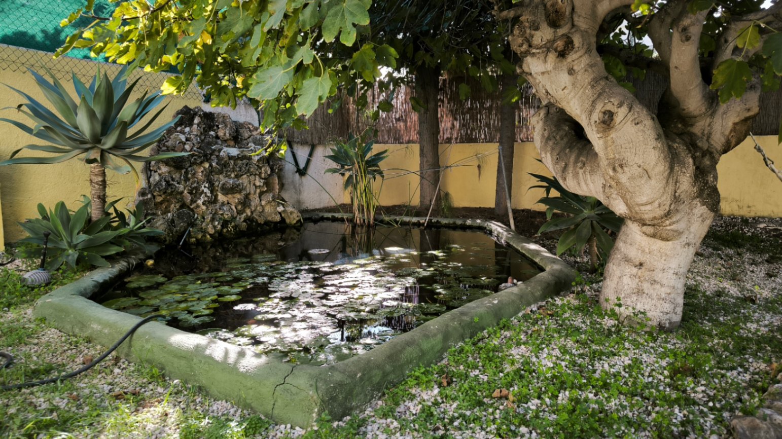 Villa Benissa (35)
