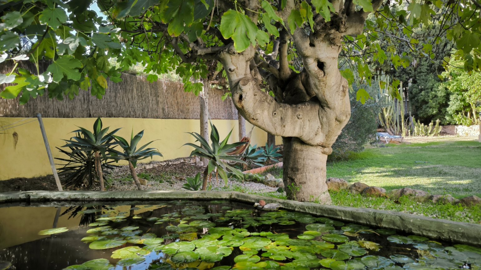 Villa Benissa (36)